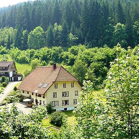 Appartement Country Style Flat With Garden à Triberg im Schwarzwald Extérieur photo