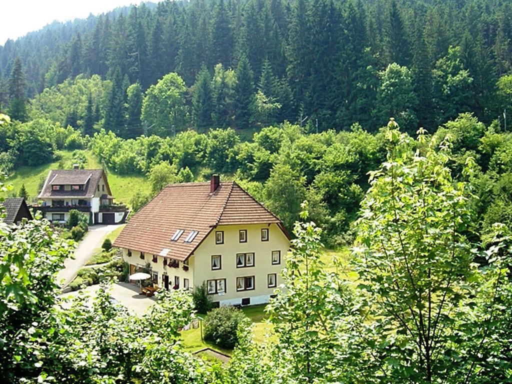 Appartement Country Style Flat With Garden à Triberg im Schwarzwald Extérieur photo